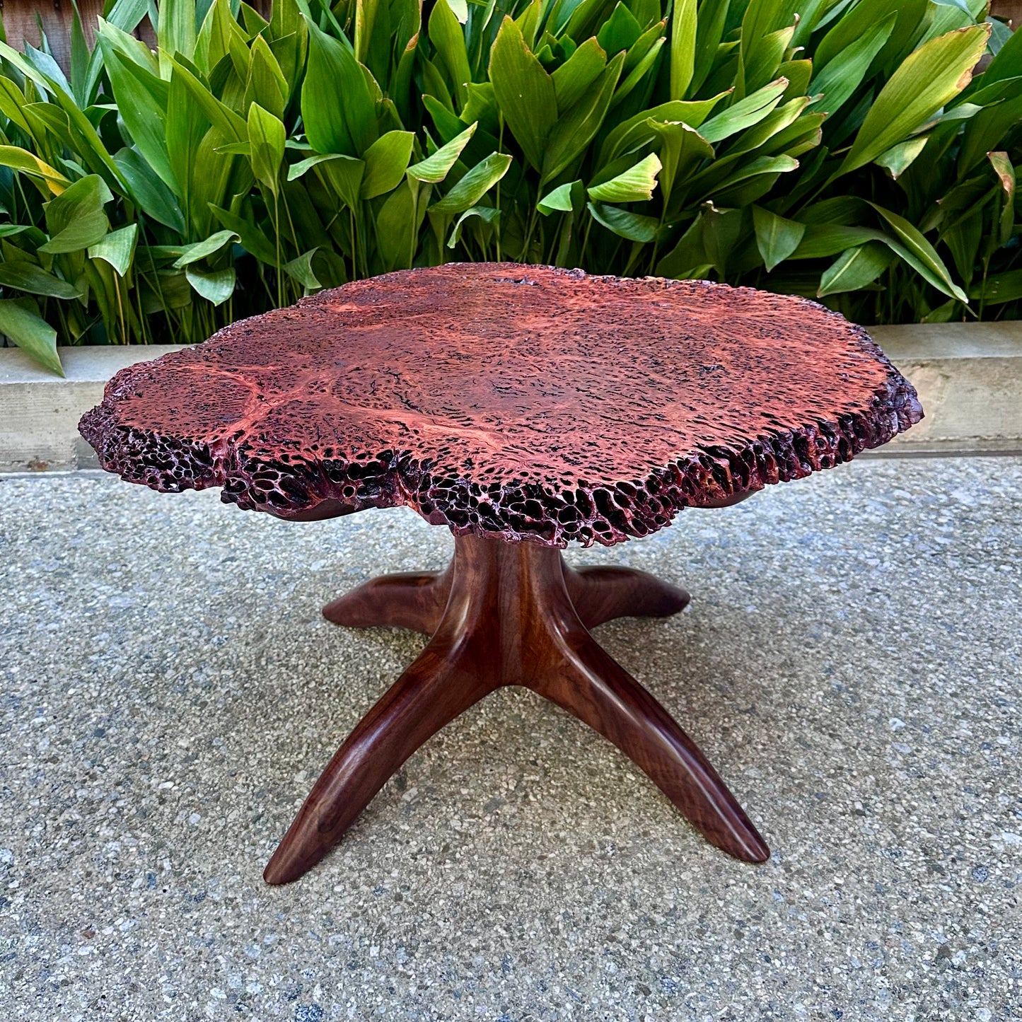Australian Burl/Claro Walnut Coffee Table