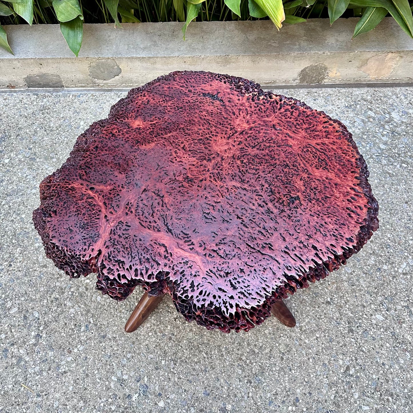 Australian Burl/Claro Walnut Coffee Table