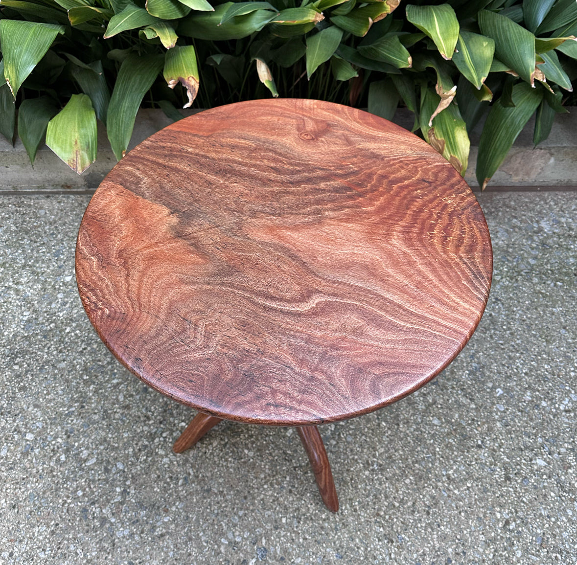 Avocado Wood Pedestal Table